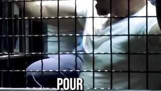 Prison break 6
