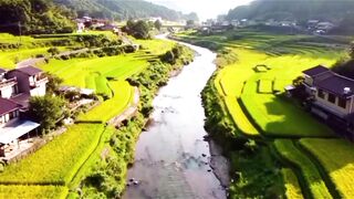 Charming Terraced Rice Fields by the River