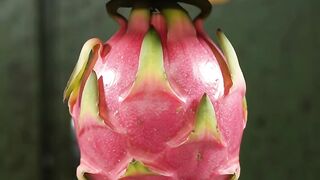 Dragon fruit vs hydraulic press