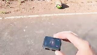 Strange POV tiny camera 📸😍