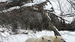How I built a warm shelter