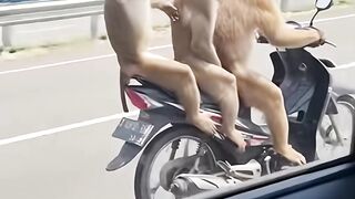 A monkey riding a motorcycle on the toll road.