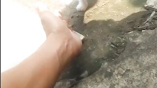 Smart Kitten Learns High Five And Stand Up Trick In One Day | Cute Baby Cat Training Toss