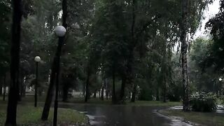 Nature Is Love