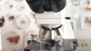Мир глазами микроскопа