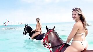 horse in the water beach