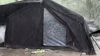 BlackCat Camper