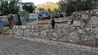 She's the friendliest black cat I've ever met