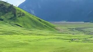 Bukit teletubbies
