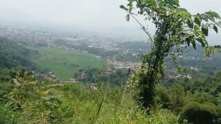 Pemandangan 46