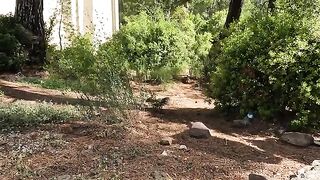 Stray Cat I've Known for 5 Years Running to Me at Full Speed After Hearing Me!