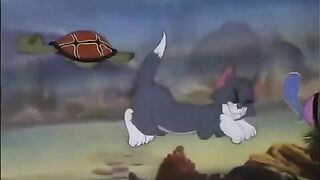 cartoon hub - Tom and Jerry 2