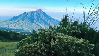 Candu merbabu