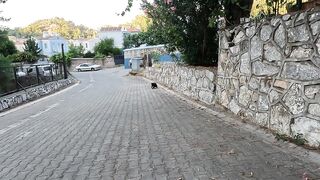 I think she's the most friendly black cat I've ever met!