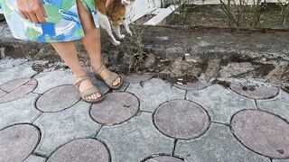 She is the most jealous stray cat I've ever met!