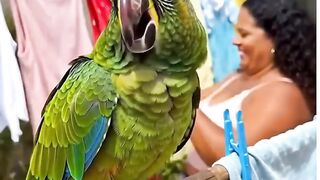 _Com essa cara de quieto... mas sei de todas as fofocas do bairro._ 🤫🦜
