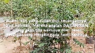 Cabe Ori