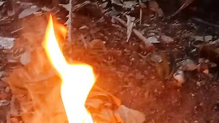 Bakar sampah 2
