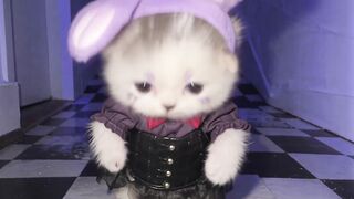 Nighttime cosplayer party