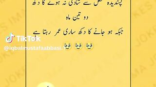 Iqbal Mustafa abbasi 43