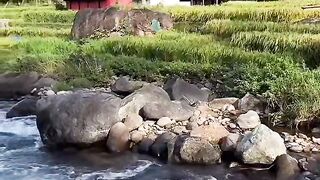 The serene flow of the river