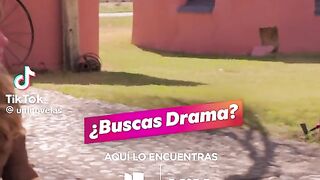 TierraDeAmorYCoraje 96