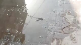 Raining 14