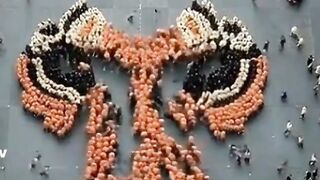 Thousands of People Form a GIANT Tiger Face! This is UNREAL 🐯