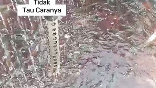 Treatment of catfish using PK drugs