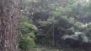 Adventure 28