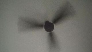 Fan Risk 3 month check all part