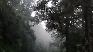 Beautiful Road 2