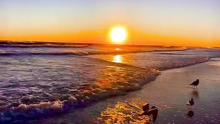 Sunset❤️❤️❤️
