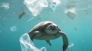 One Ocean, One Responsibility