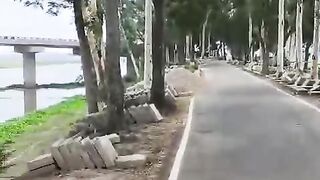 সৌন্দর্যের মাঝে বিরিজ