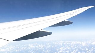 Endless Blue Skies: View From the Airplane Window