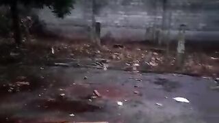 bekerja sampai pagi