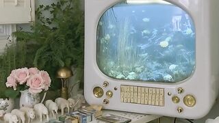 The Cozy Retro Future - Living in a 1970s Solarpunk Utopia Where TVs Are Aquariums.