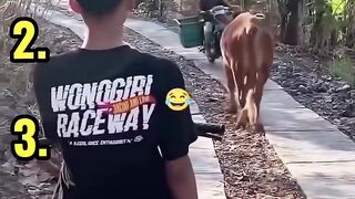 Kelakuan random warga 62