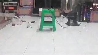 cek suara