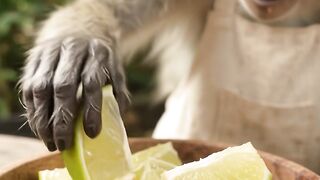 ASMR Monkey Eating Super Sour Lime 🍋💦 | Satisfying Mukbang Sounds