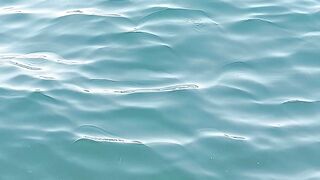 Ocean therapy