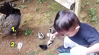 top 5 vidio funny