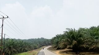 POV Motorcycle Ride Through Beautiful Rice Fields in Indonesia | Village Life Kalimantan