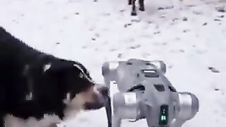 Drone AndSog