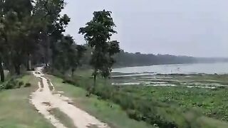 শুভ সকাল 3