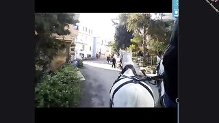 Turkesh Ireland 2