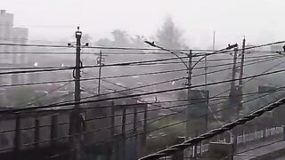 পারফেক্ট