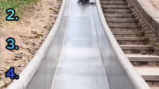 Funny Dog Fails 😂 Hilarious Dog Moments That Will Make You Laugh