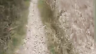 footpath